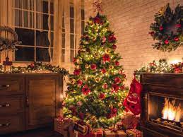 ¿Qué Comprar Para Decorar un Árbol de Navidad?