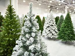 ¿Cuál es el mejor arbolito de navidad? ¿Cómo elegirlo?